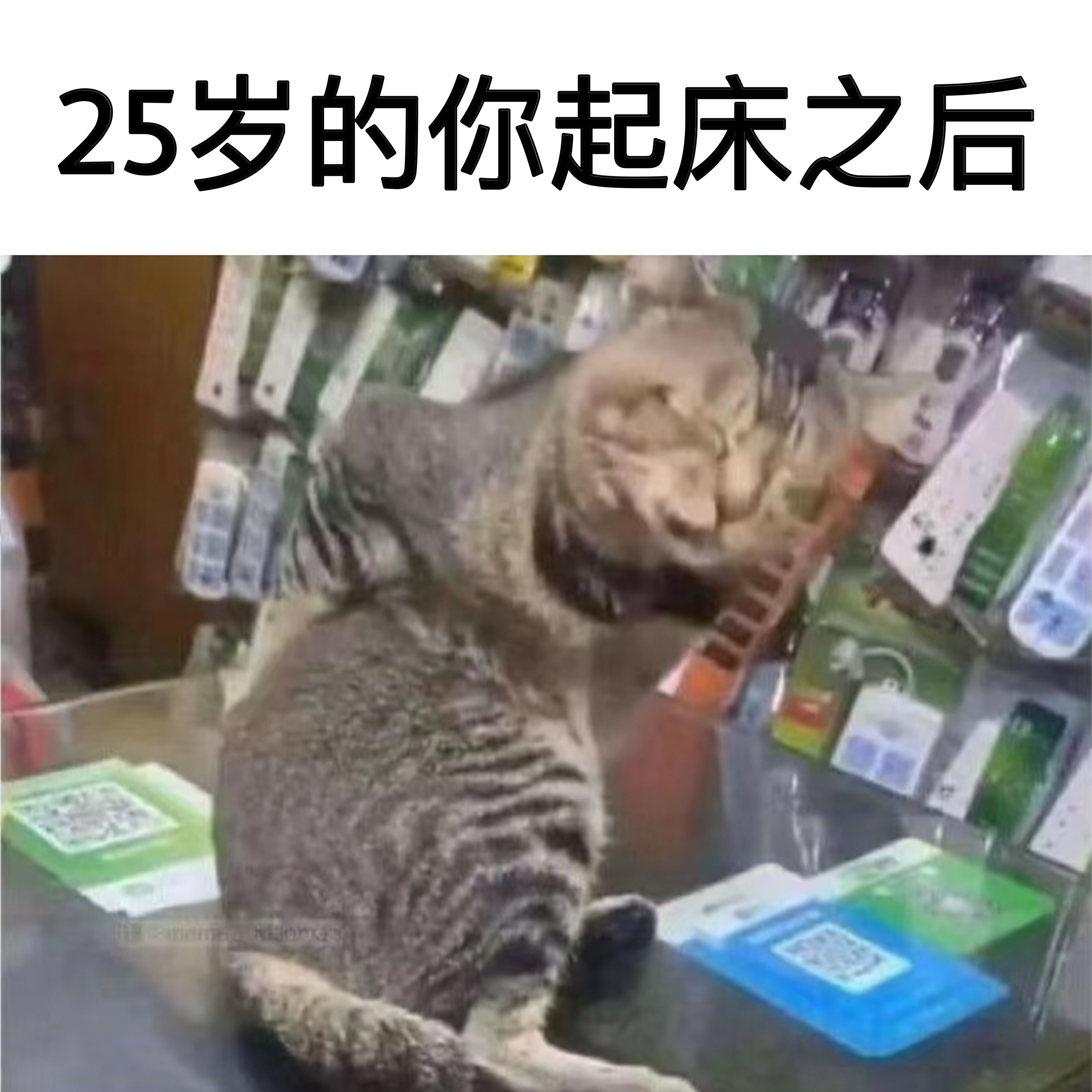 身体免费试用期结束#meme# ​​​
