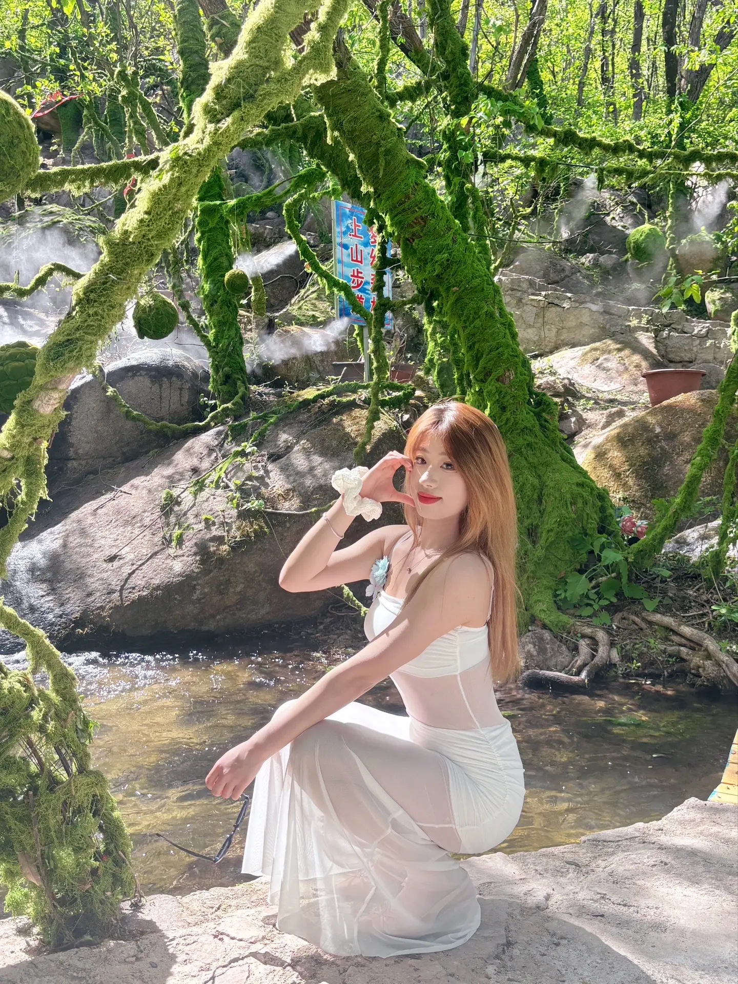 🌴 治愈系风景
