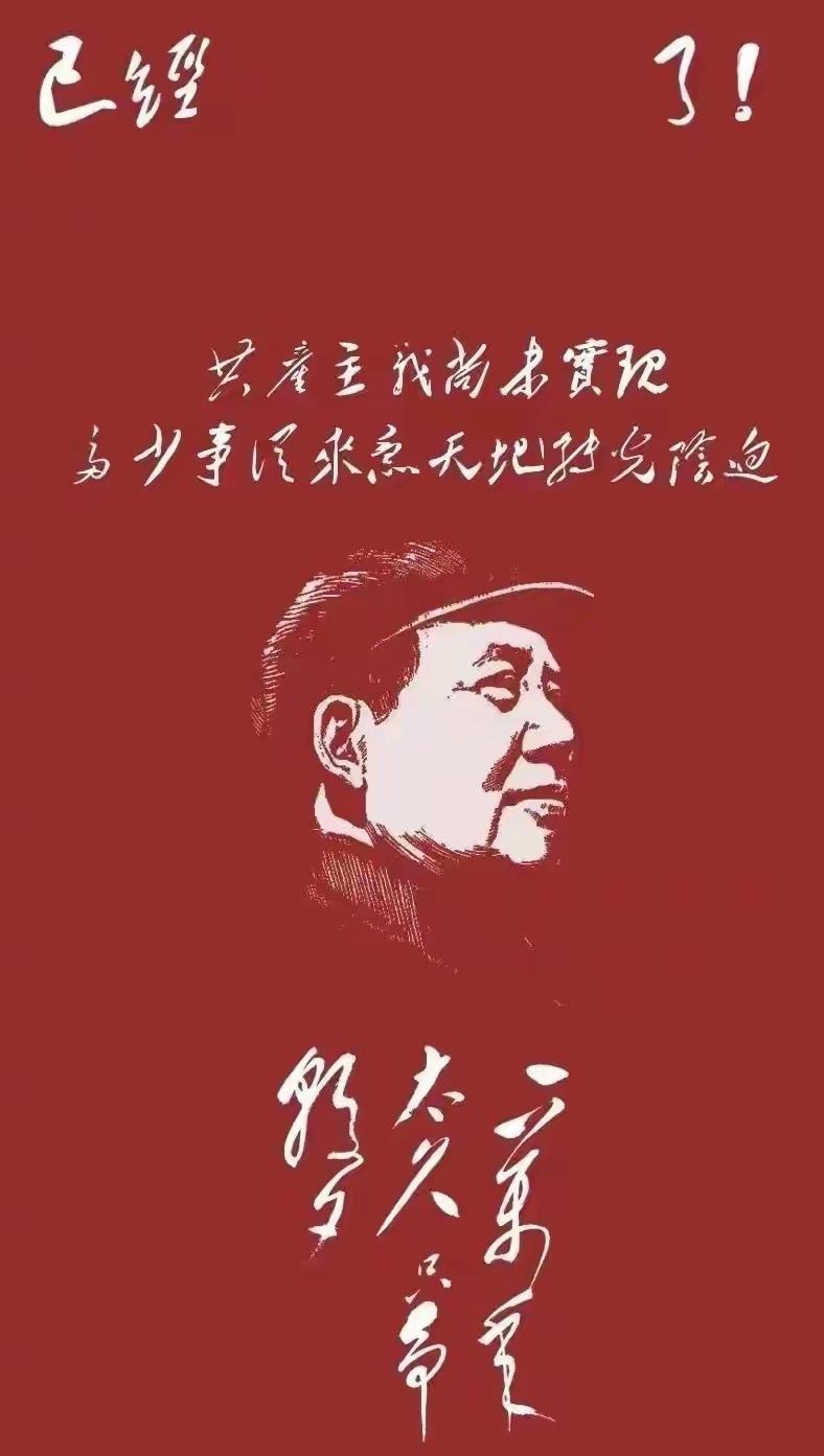 历史：最无情的验证场
历史是验证真理的标准，比“实践是检验真理的唯一标准”更具宏