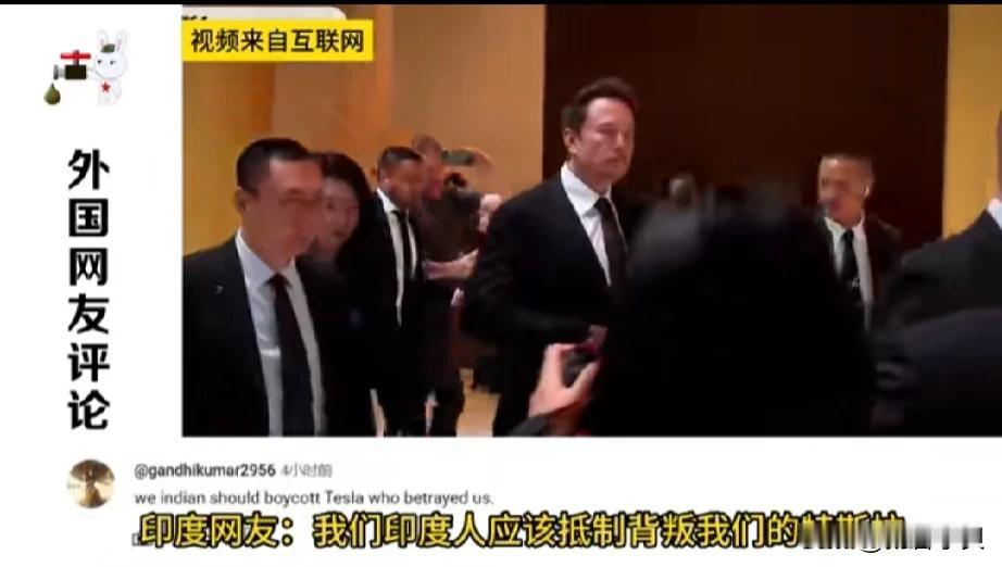 马斯克取消印度行直达中国令印度网友破大防。
印度网友可是外网的五常国家，印网友叫