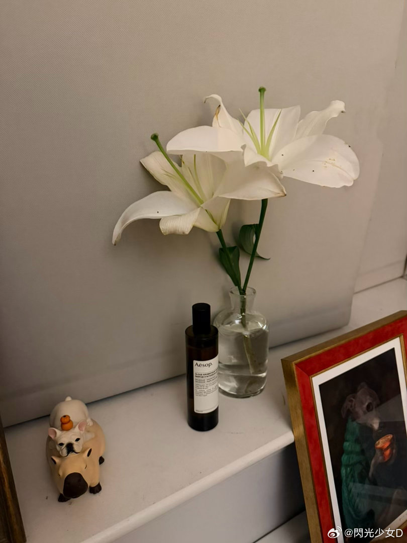 花房的匠人们听说，百合最能宁心静神。 