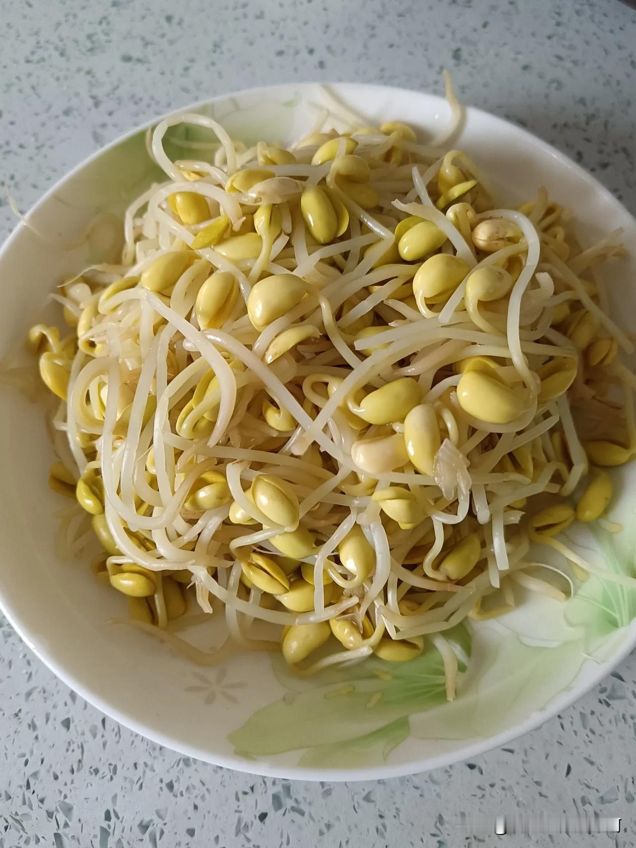 很久没吃过黄豆芽菜了，因为市面上几乎百分之百的黄豆芽都是白白胖胖的无根豆芽，漂亮