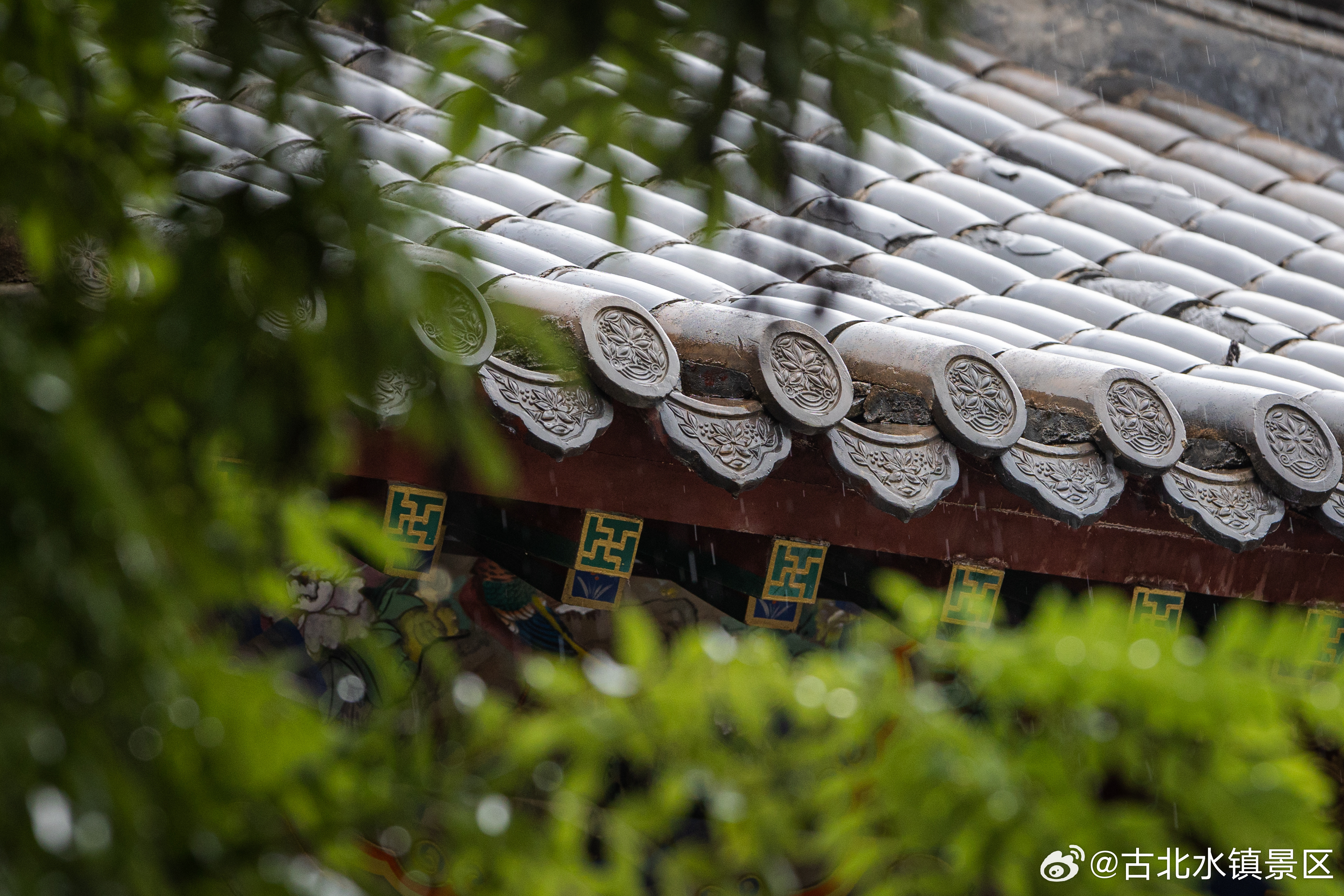 清晨是一首温柔的诗，等待着你去书写每一行早安，宝子们~#古北水镇# #童话古北#