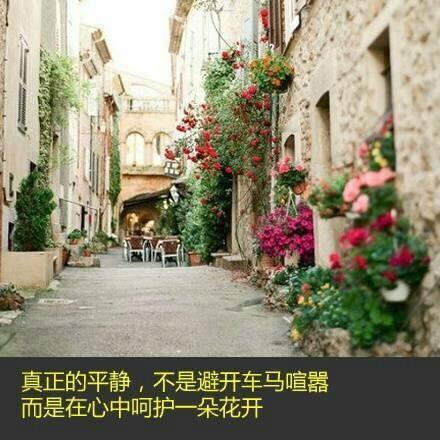 【心在旅行】这个暑期，我期待一次这样的旅行——住在一间安静优美的小屋，在鸟鸣中起