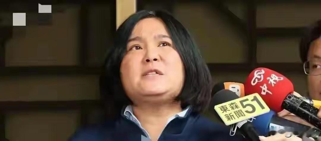 对着干
湾湾岛媒体人吴子嘉与国民党主席郑丽文有仇，他公开喊出"郑丽文是败选女王”