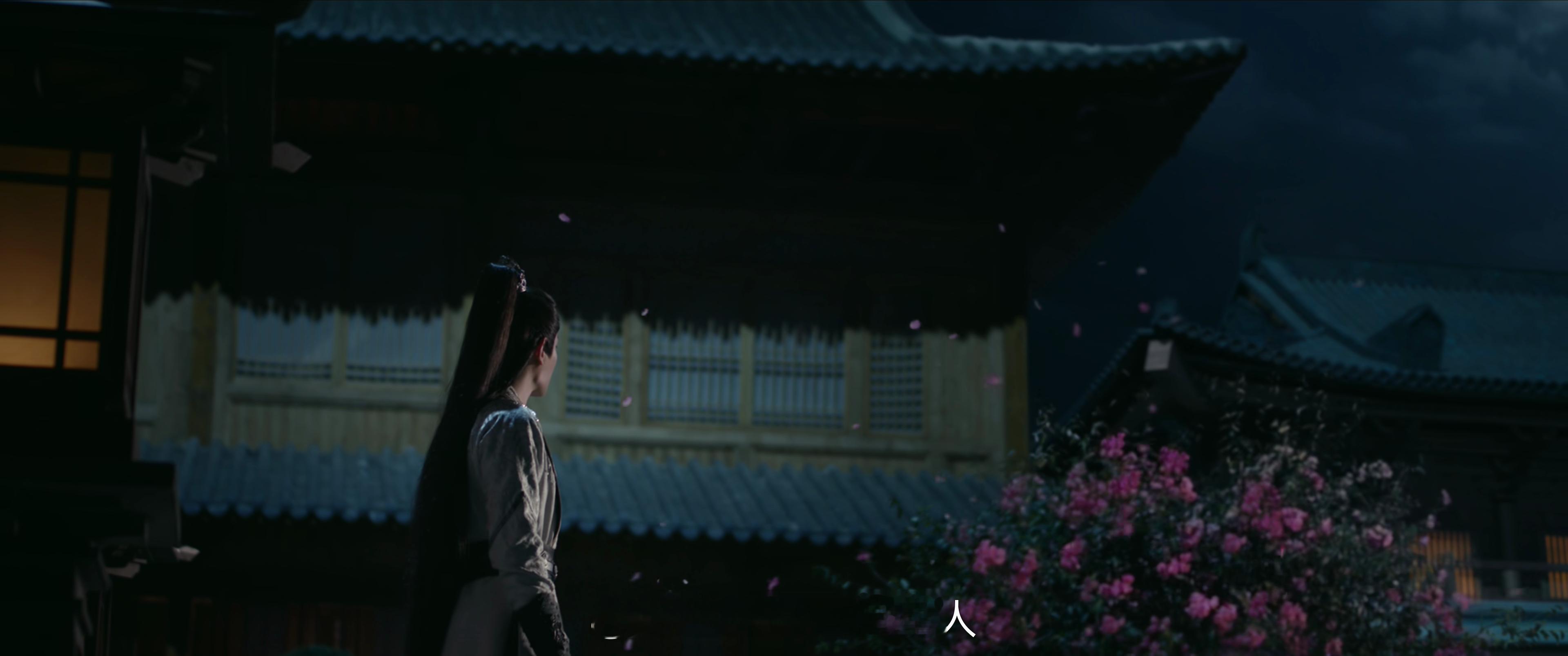 山河枕这段看似卫韫内心剖白，实则丁禹兮大型表白海棠现场 ​​​