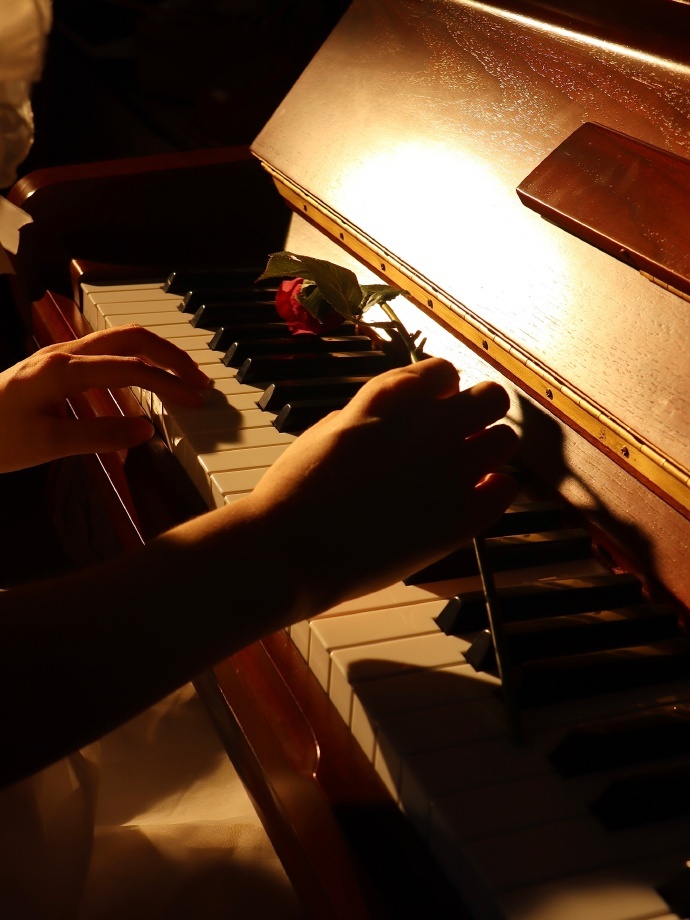 我晚上的时间是神圣不可侵犯的。｜加缪 