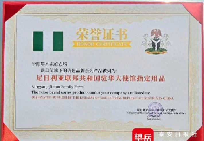 谁能想到，就在近日，北京那场低调却高级的尼日利亚驻华大使馆经贸文化交流会上，一个