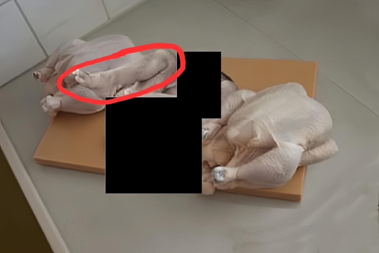 你可以怀疑有钱人的道德，但千万别怀疑他们的眼光。

每当有人质疑美国时，就会有些