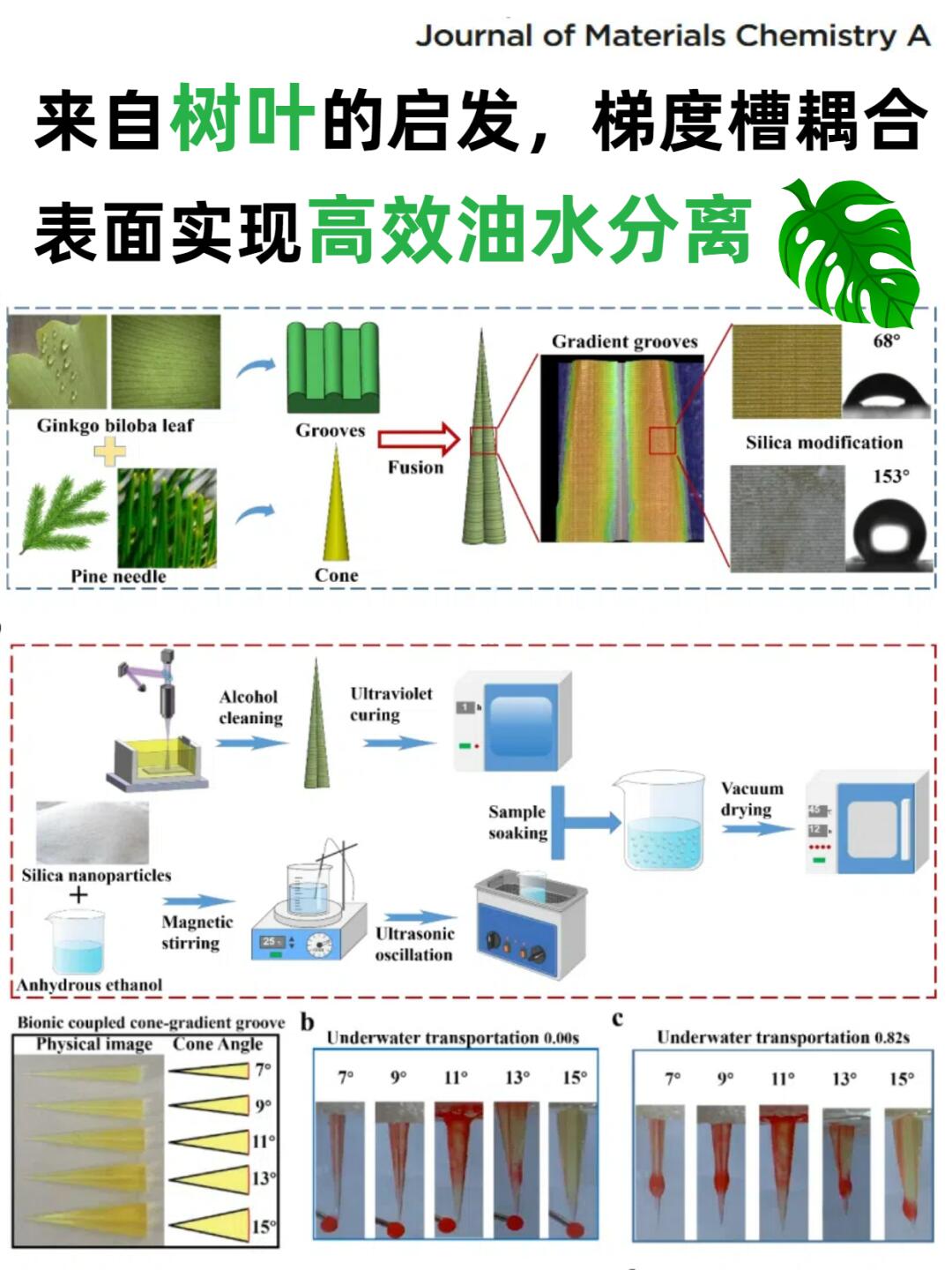 仿生树叶🍃！梯度槽耦合表面实现油水分离