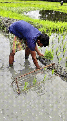 聪明的三哥，值得借鉴[呲牙][赞]
