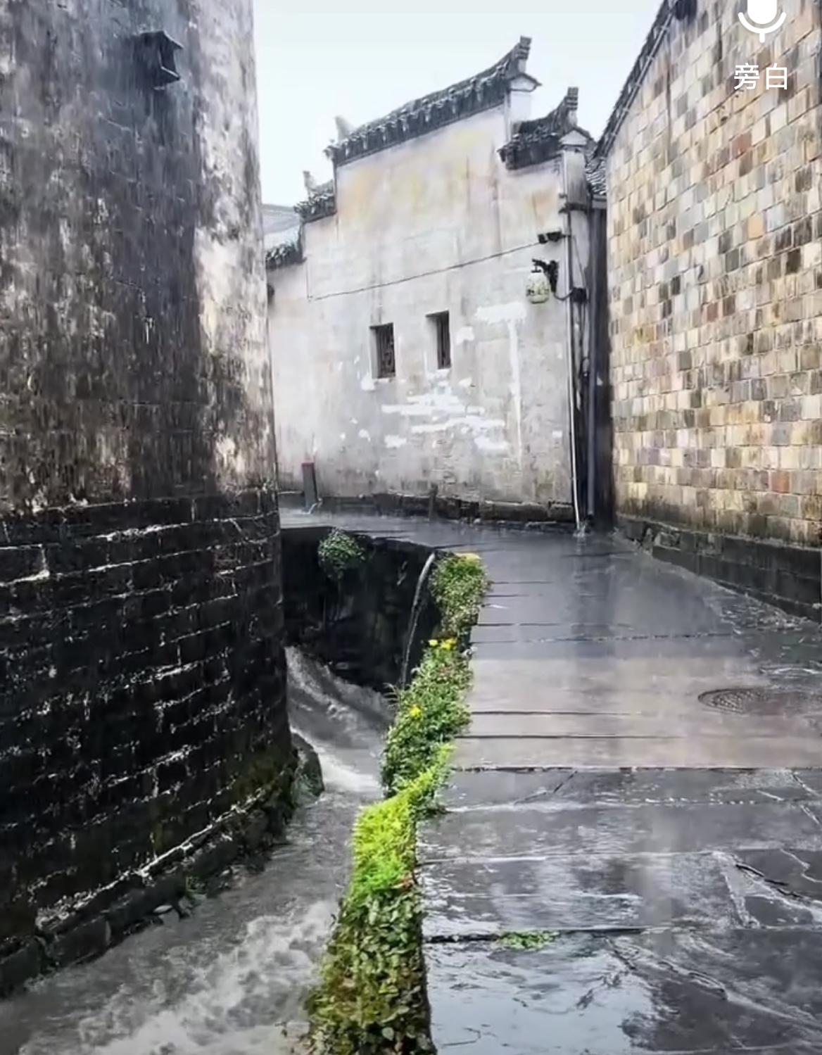 分享今日的感悟昨晚上床较晚，十一点多了，脑子有点乱睡不着，等到迷迷瞪瞪睡着了听到