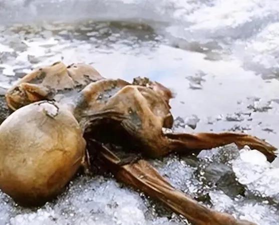 1991年，一对夫妻攀登3000米的阿尔卑斯山时，发现了一个趴在雪中的冰人。他右