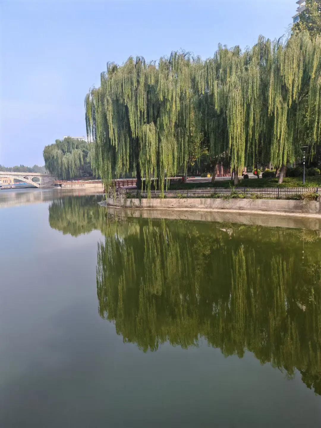 【无题】（韩联社）
​春近寒蛩鸣，
心远默无声。
​凡事向前看，
​近觑有泥坑。