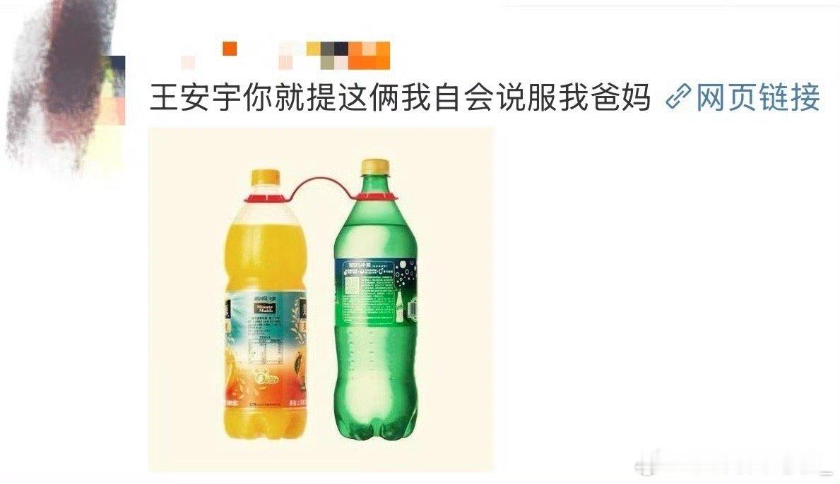 王安宇你就提这俩我自会说服我爸妈王安宇这哪是提饮料啊，分明是提着我的心去见家长！