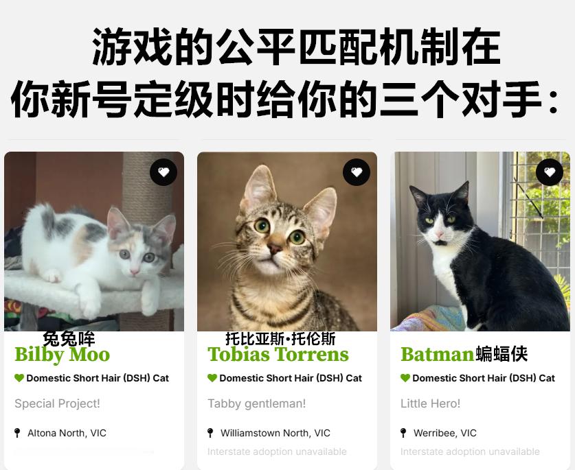 挑战一下今日meme今日memes