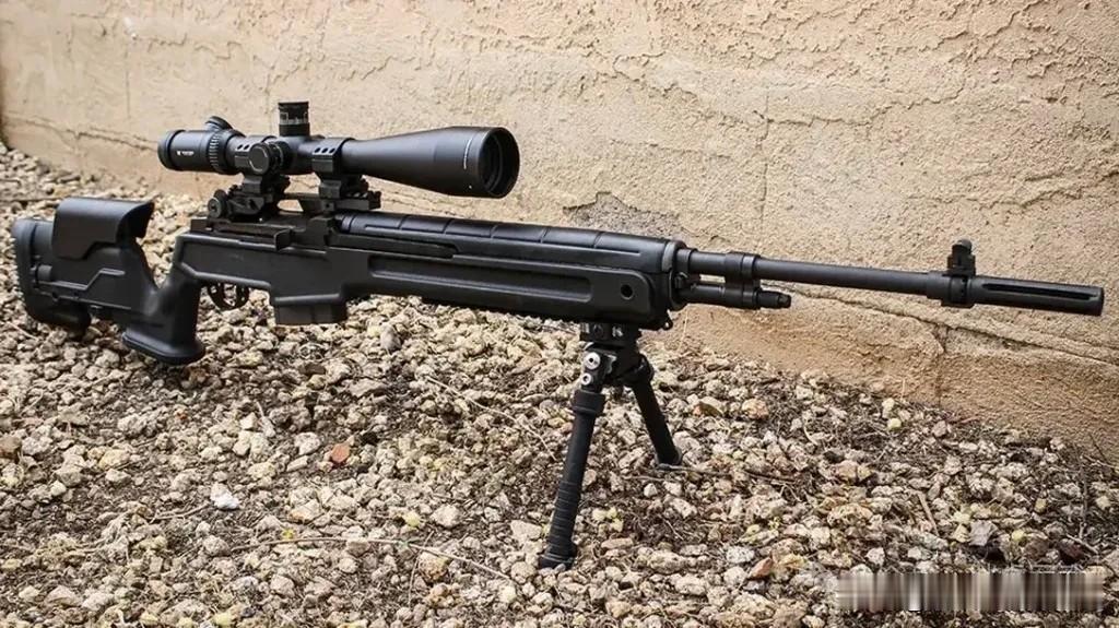 M14/M1A