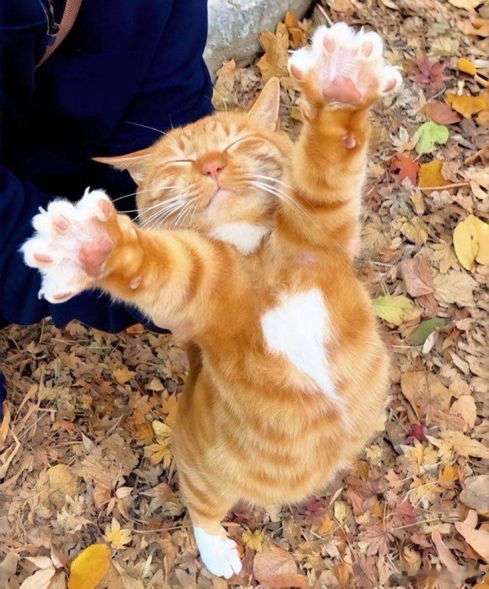 抱抱！ 