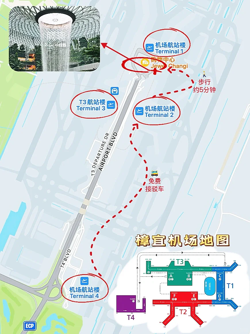 5分钟找到樟宜机场瀑布