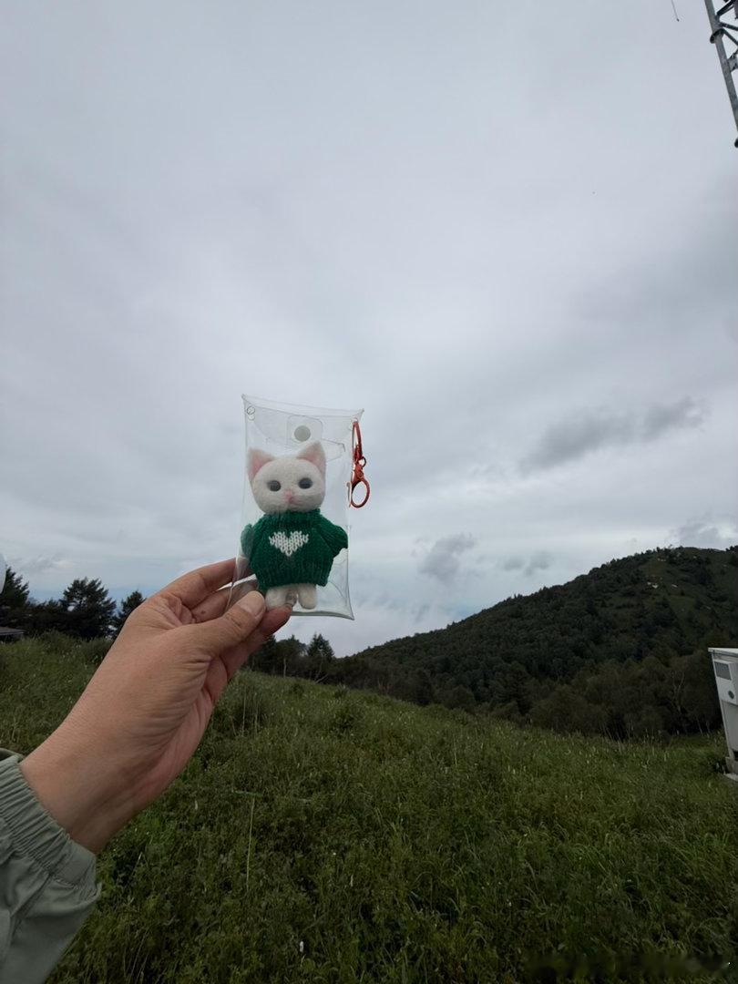 今天一天吃了七个茶叶蛋，一个半贝果，两根香蕉，四瓶水，一小份凉皮，现在又撑又饿，