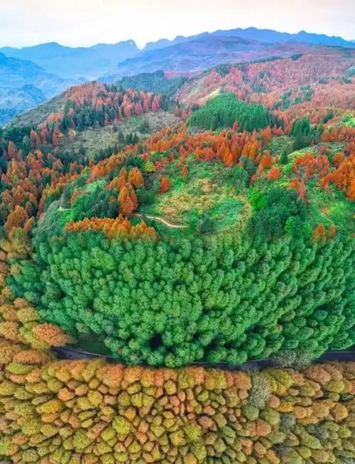 重庆旅游，这个一山两季的美景，值得打卡！
重庆山王坪
美景和美食推荐：
1、双色