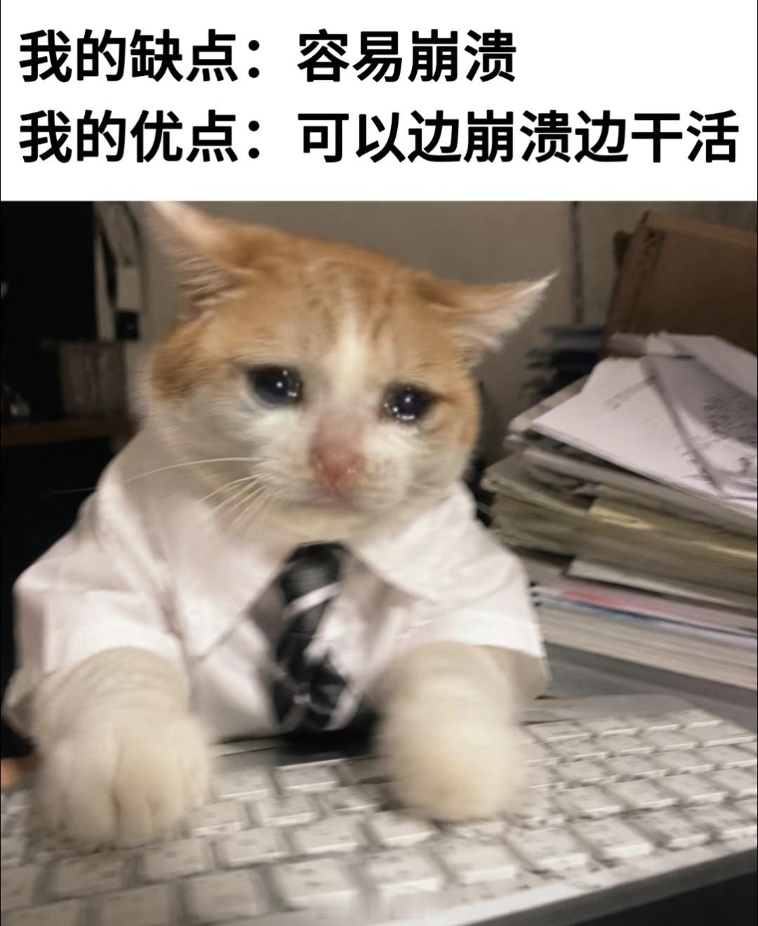 长期不工作的人会失去什么那当然是失去早八的闹钟，失去通勤路上的拥挤，失去职场PU