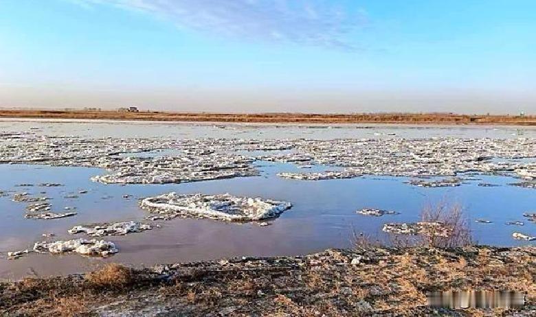 昨天早上9点，内蒙古黄河沿岸的冰块开始大面积浮起来了！这可不是小事儿，黄河从巴彦