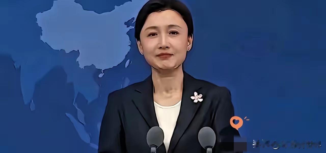 财政自用，
防务由大陆承担！
本是最大的诚意，结果却捅了马蜂窝。
评论区里的一片