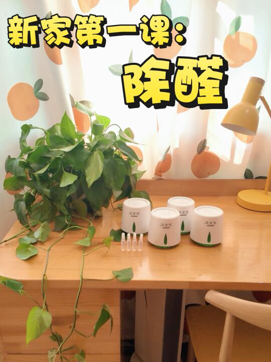 新家装修第一课：搞定除醛！