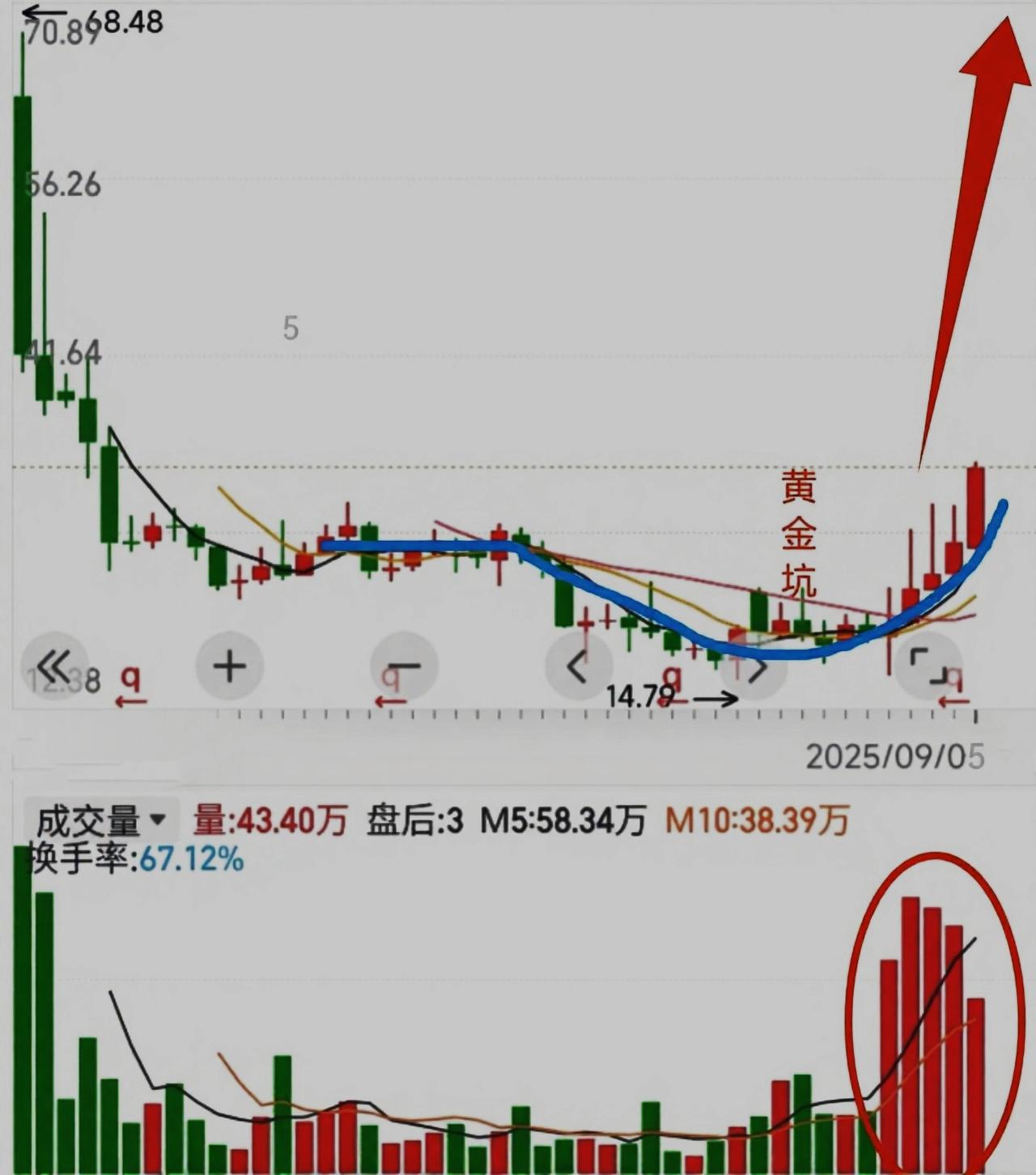 海上电微子新壳揭露面纱
“皇金坑”铸就完毕
前景无限光明，未来的王者非他莫属