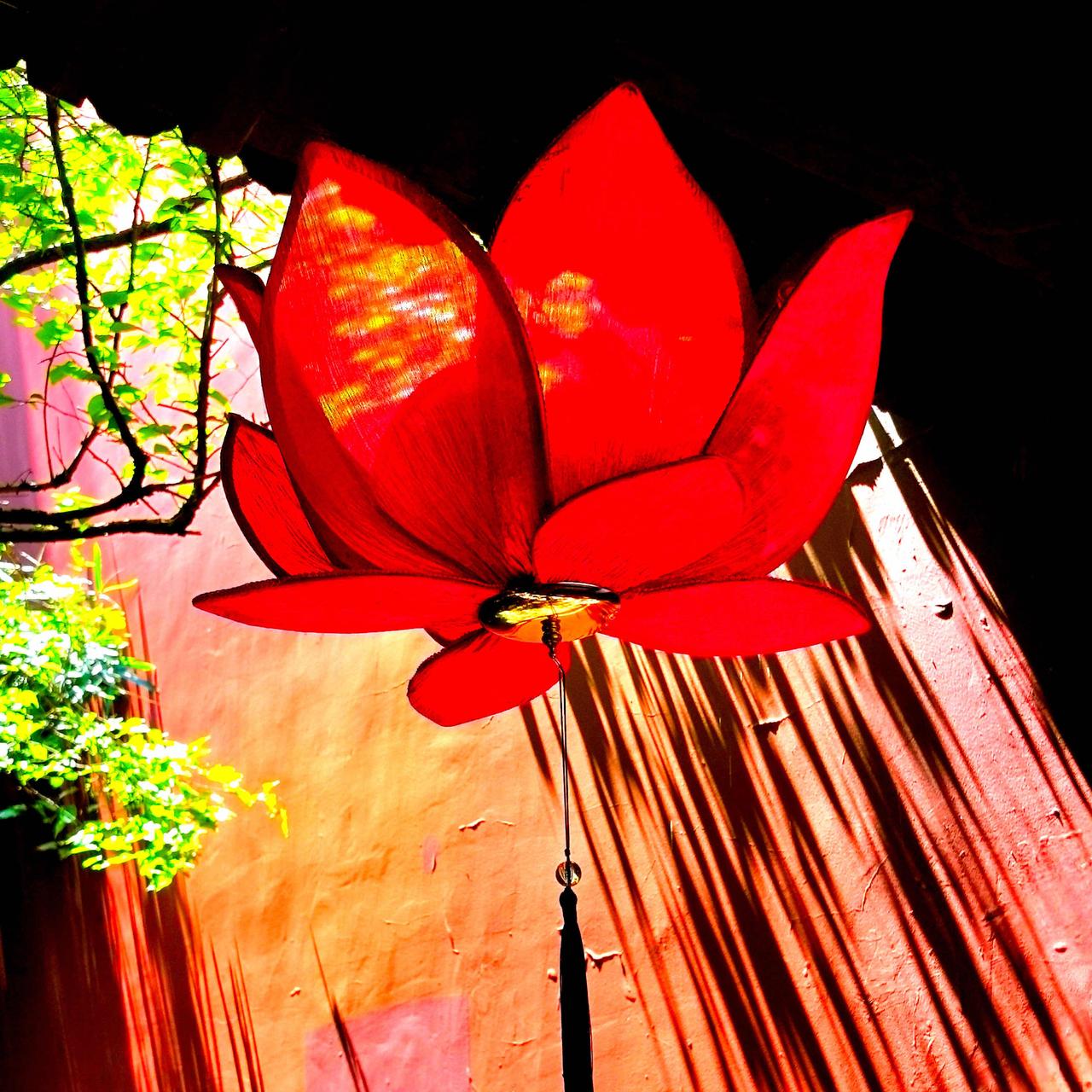 争艳……