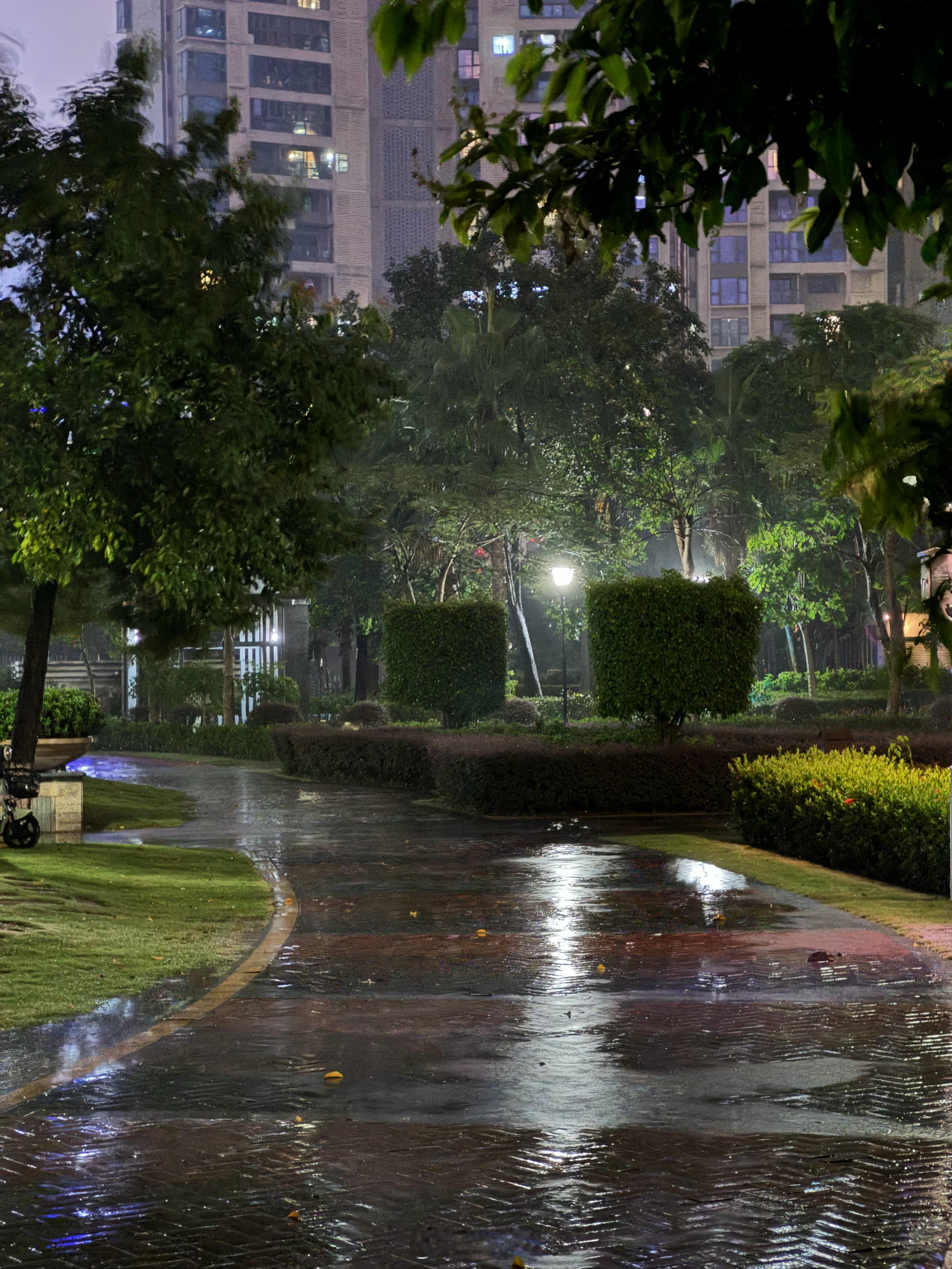 深圳这台风天说来就来，暴雨直接就下[跪了]唯一的好处是凉快了一些#深圳台风##深