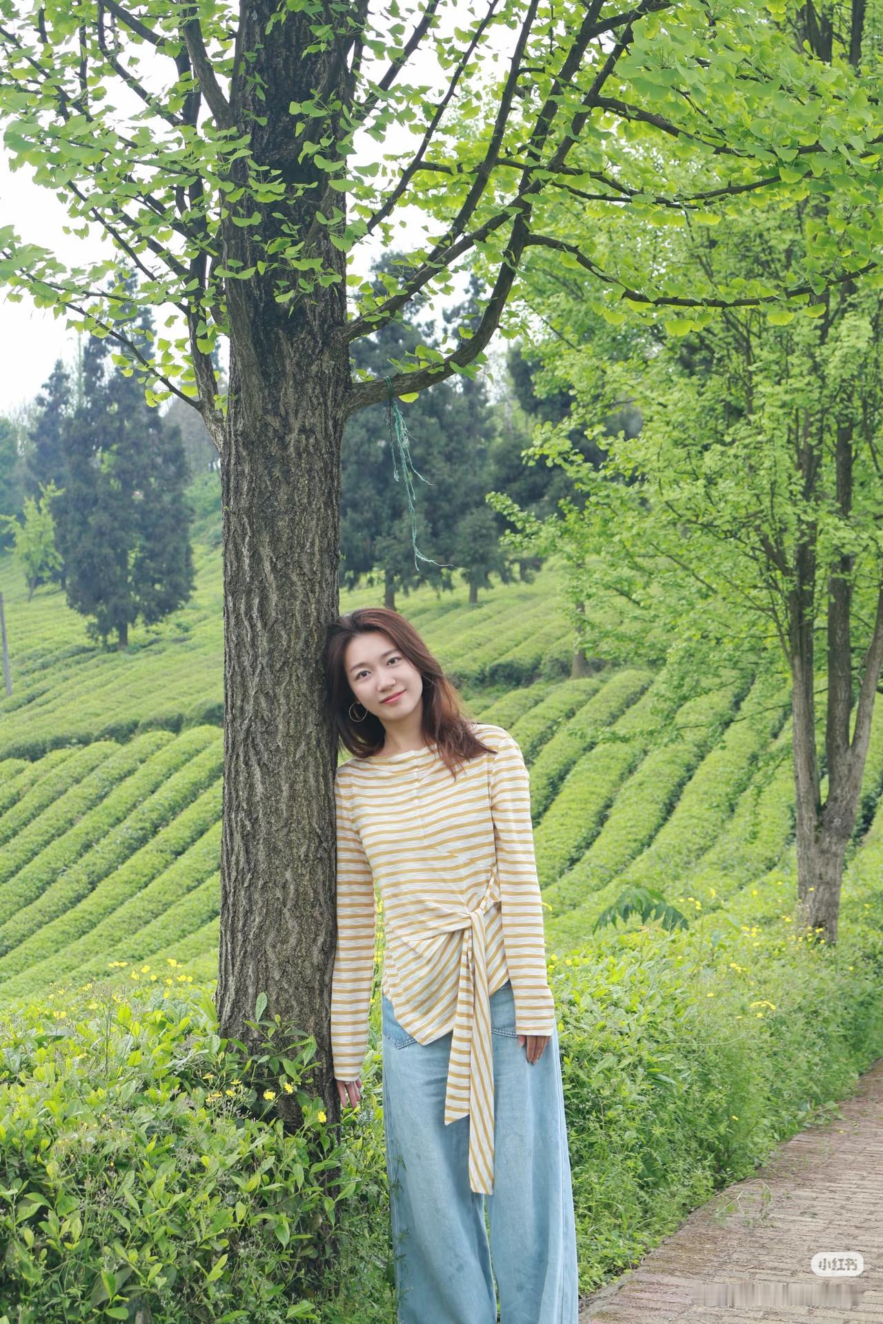 在茶园中，倚树而立，感受自然的宁静与美好。