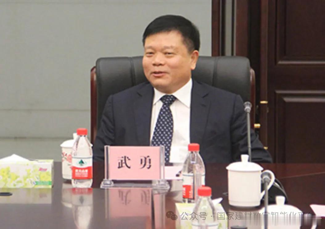 微博知名博主 中央纪委国家监委网站通报，武勇被查广州爆料反腐倡廉 国家建材数字智