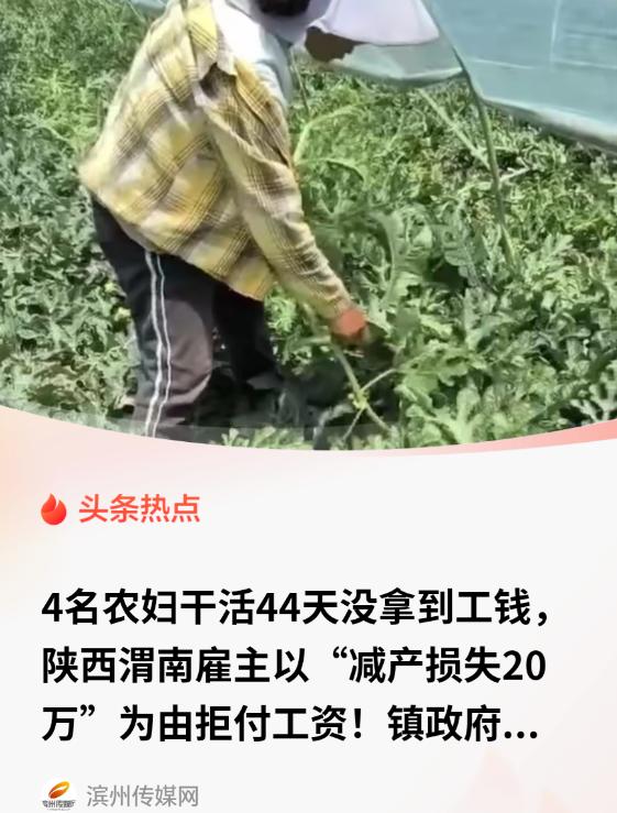 陕西渭南，四个河北农妇经中介介绍，到一对夫妇的西瓜大棚打杈，说好包吃包住包路费，
