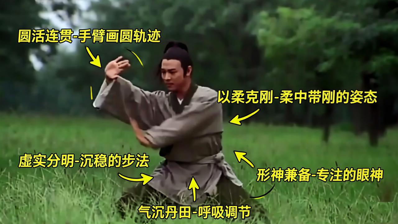 李连杰的太极拳不是最专业，但是，动作最漂亮。李连杰其实对于太极拳不是很熟练，在拍