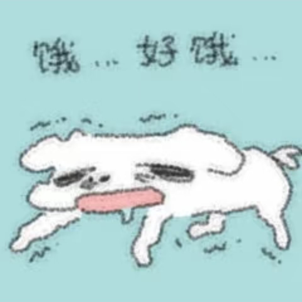 失策了，应该买点吃的东西带着的，上高铁之后开始饿了 