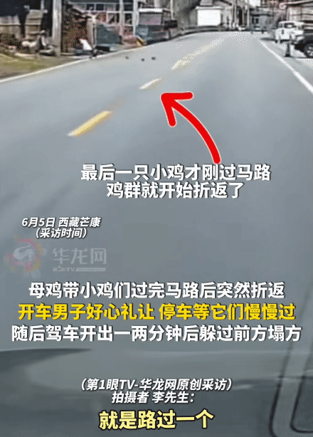 “解释不清了！”西藏芒康，男子开车礼让母鸡带着小鸡过马路。没想到，前方山体突然垮