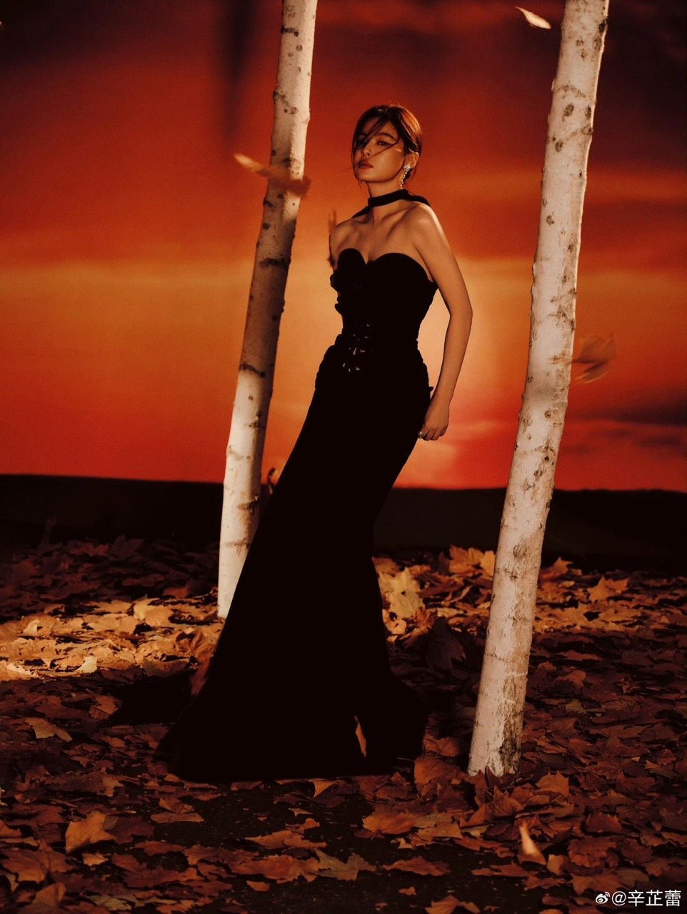 辛芷蕾春天里的第一次见面辛芷蕾春天的第一次见面 春天里的第一次见面 