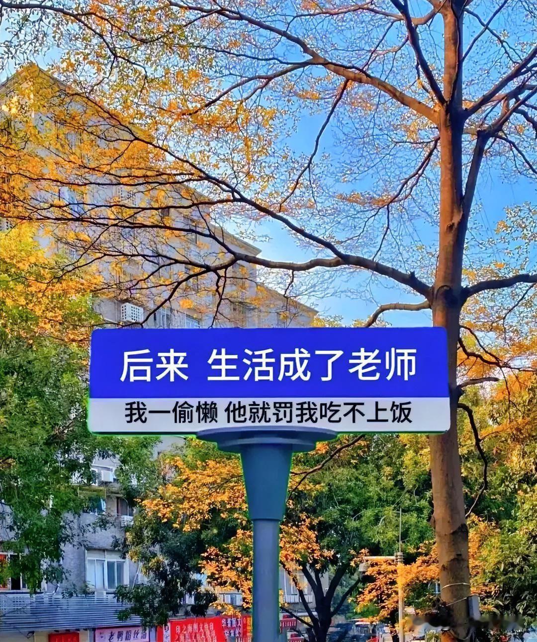 行至中年，蓦然回首，半生步履匆匆，半生烟火寻常。一路埋头奔走，拼尽全力奔赴心中期