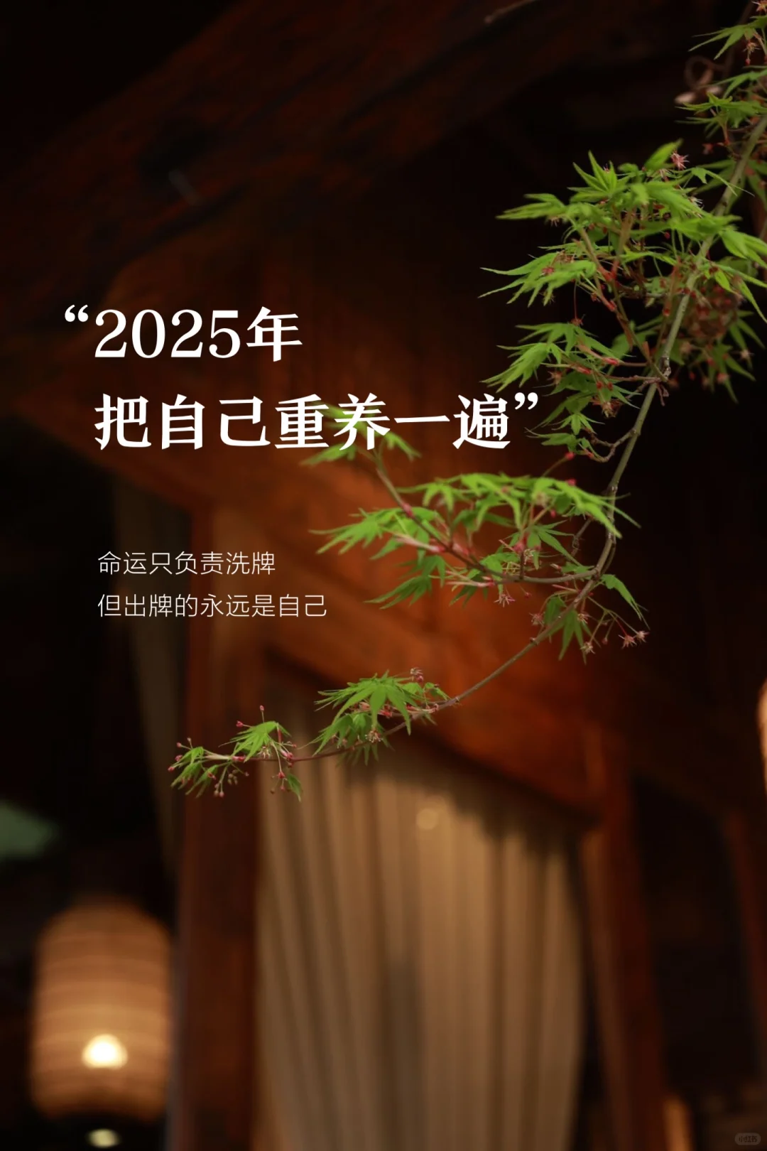 2025重启人生，重养自己一遍！