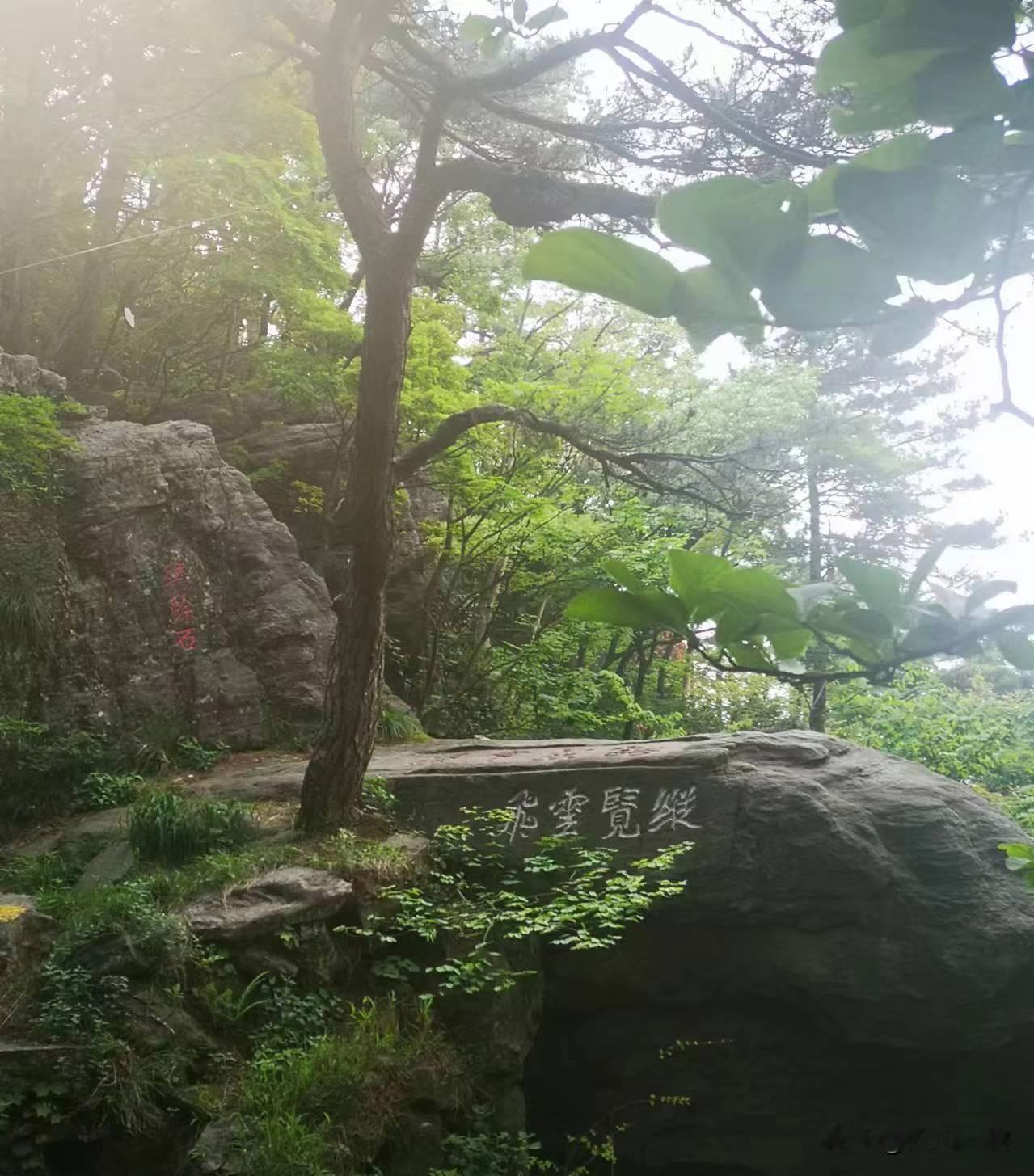 水调歌头·初冬山行

叶落千山瘦，霜飞百林寒。
野桥策杖行处，清曲想空滩。
几缕