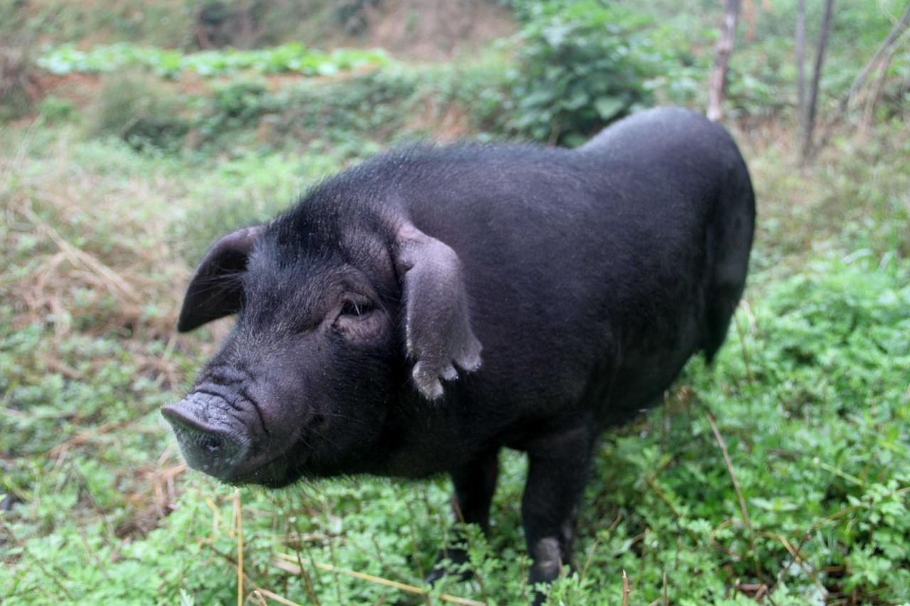 现在创业难，跟大环境有一定关系，但不是主要关系，我觉得还是人的思维问题。很多人，