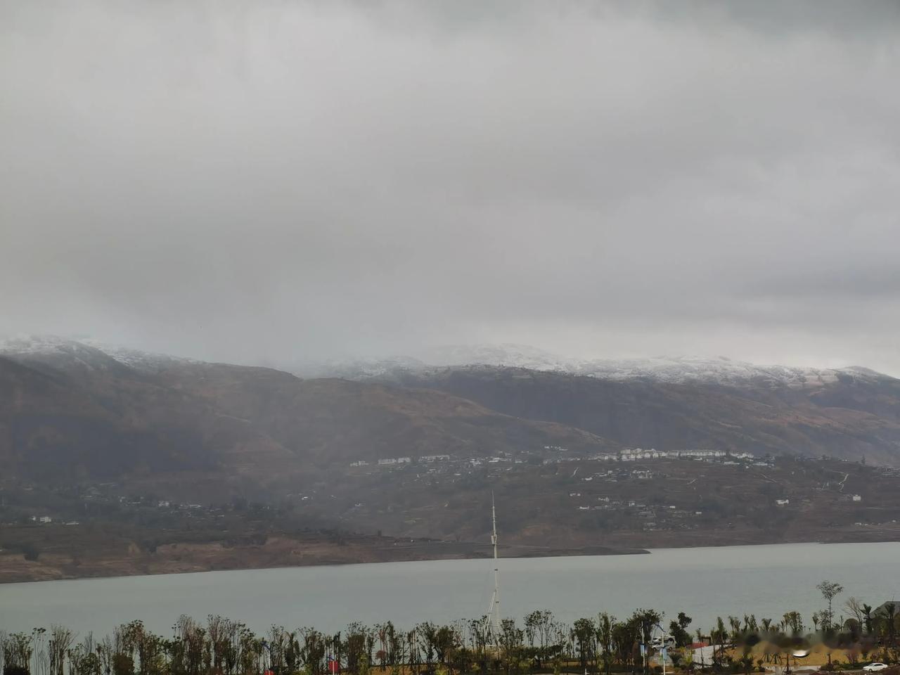 今天降温下雪了，但气温依然有6度，也不算很冷吧。
