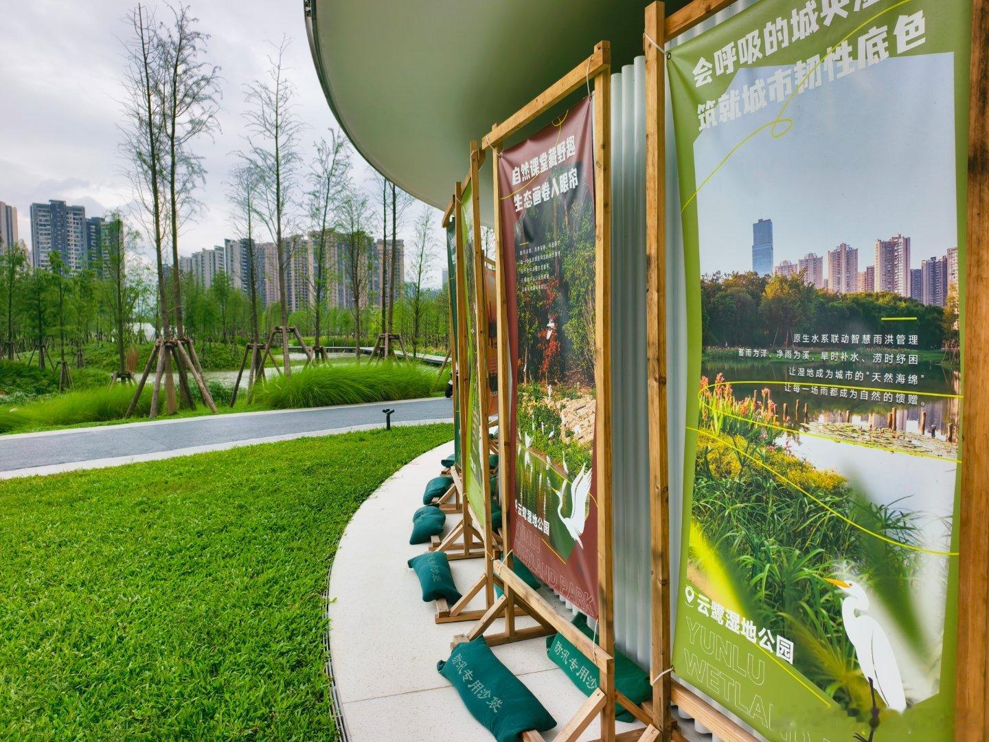 大湾区骑行 今年新建成的鹭湖湿地公园，顺德公园建设最新杰作&最高水平代表作！  