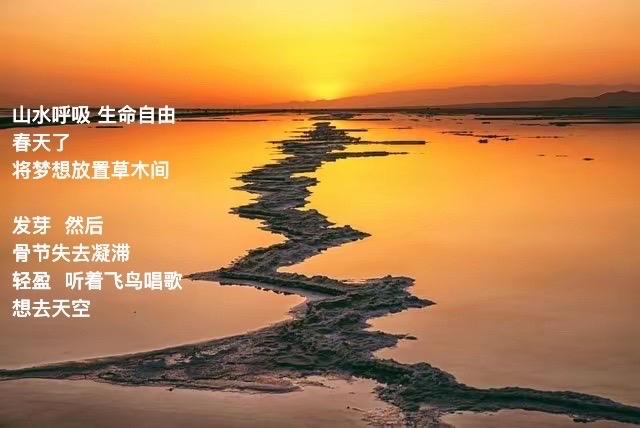 #原创诗歌 ·每天为你写首诗