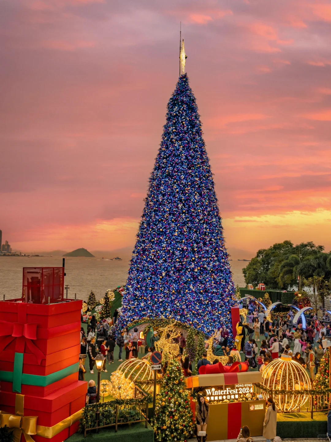 人生建议🎄香港一定要去的海边圣诞，附地图