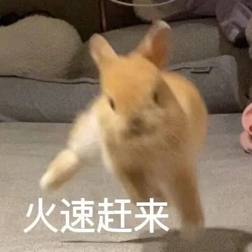 说到偷番，大家第一时间想到的是谁 ​​​