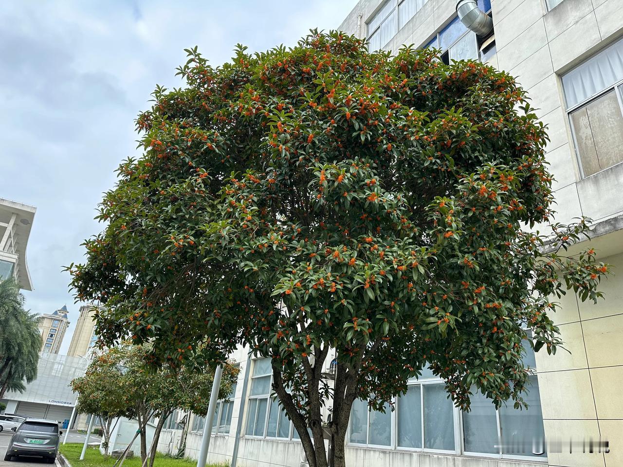 #上联:山重水复疑无路，诚邀下联#
下联：峰回路转又一程。