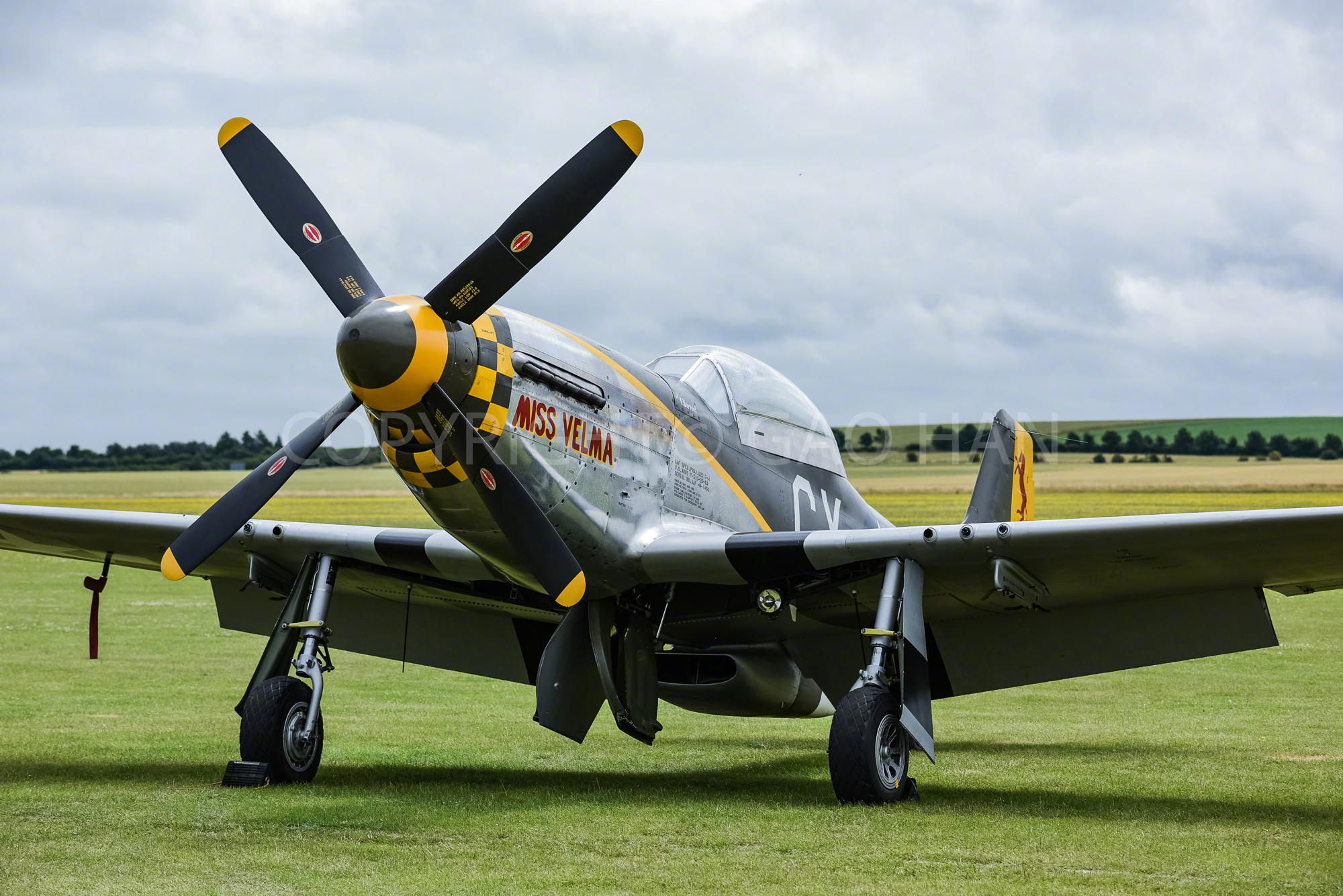 先给大家拜年，祝大家在马年万事如意，身体健康，龙马精神，马到成功！图一至图九，各